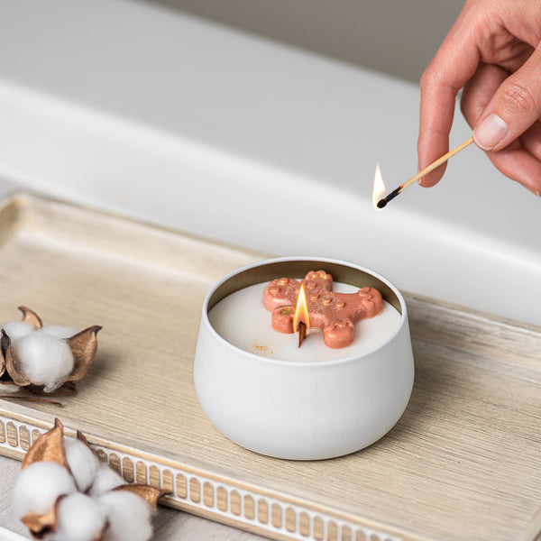 Coconut Soy Candle - Assorted Scents